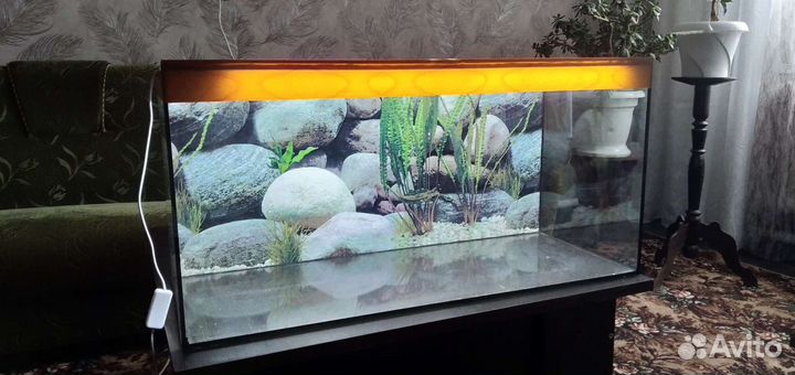 Аквариум 100л