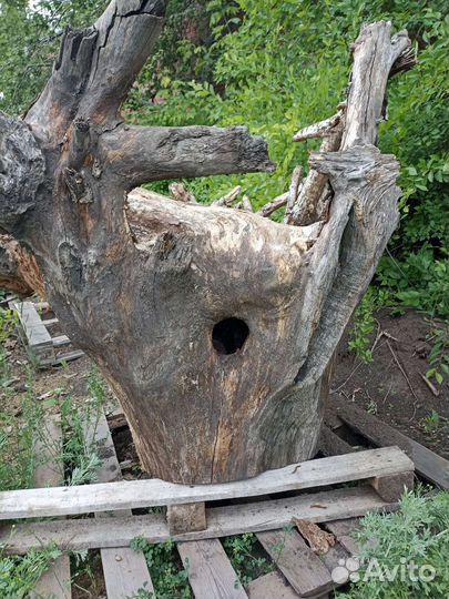 Дупло для животных