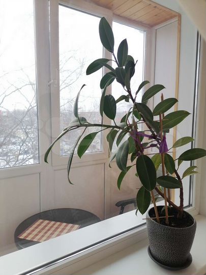 2-к. квартира, 46 м², 5/5 эт.