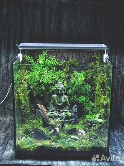 Уход полив за растениями,озеленитель,фитодизайн