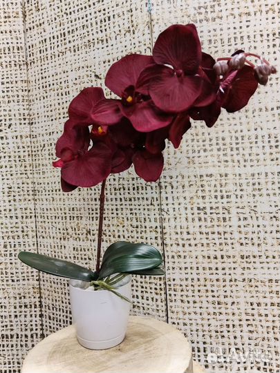 Орхидея красная искуственная