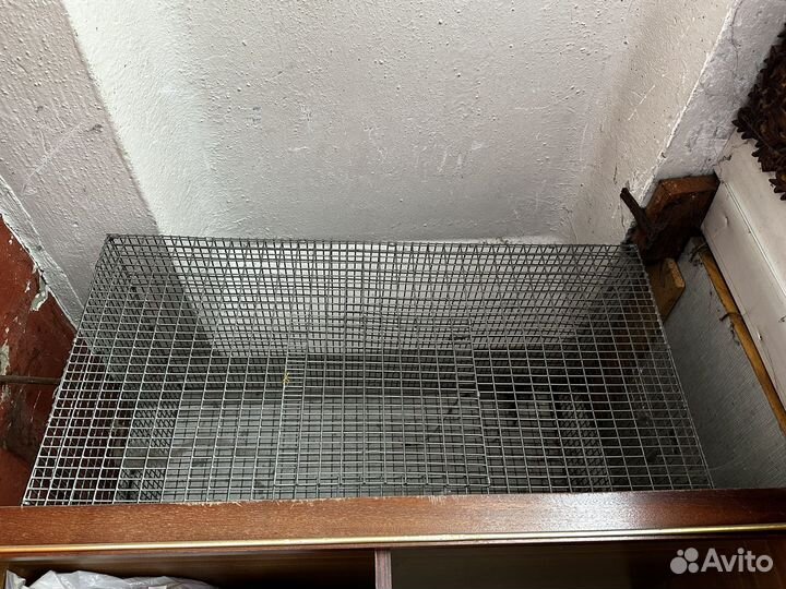 Клетки для грызунов и птиц