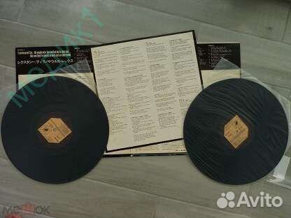 Rainbow, T.Rex, Red Warriors,ToTo