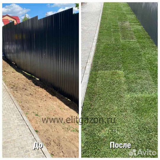 Рулонный газон стандартный