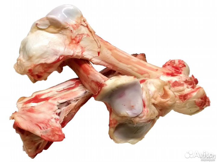 Кости, обрези и фарш для собак