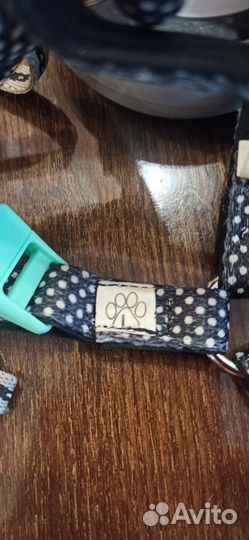 Шлейка и поводок