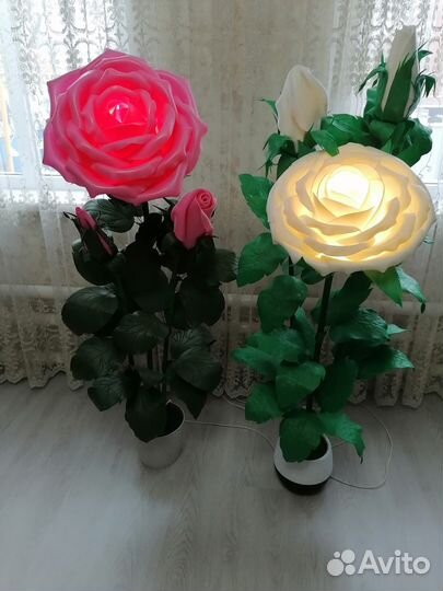 Ростовые цветы