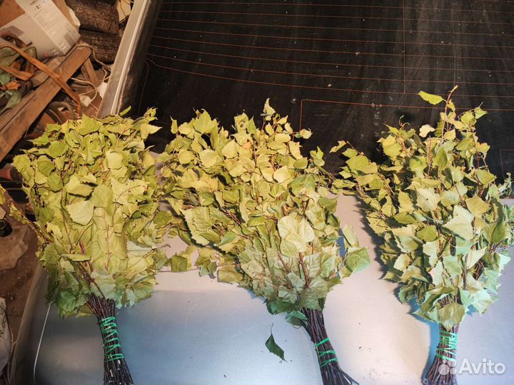 Березовые веники