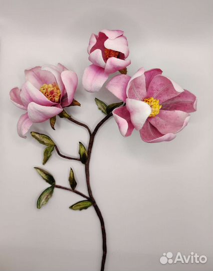 Магнолии интерьерные