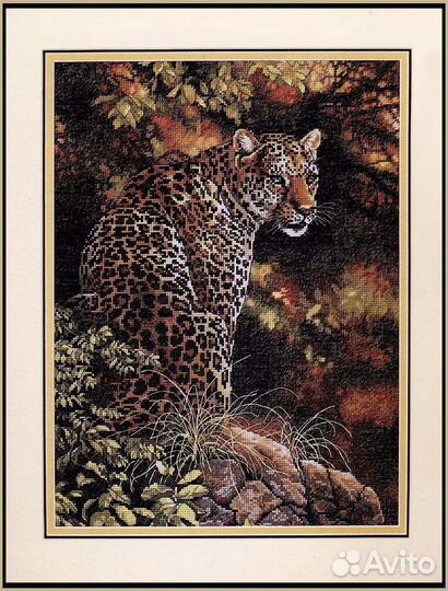 Dimensions 35209 Leopard's gaze