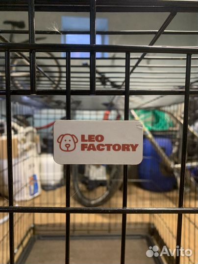 Клетка для собак