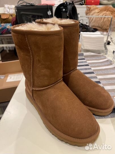 Ugg