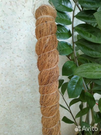 Опора для цветов кокосовая, и пластиковая 2 вида