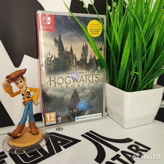 Hogwarts Legacy (NS) NEW