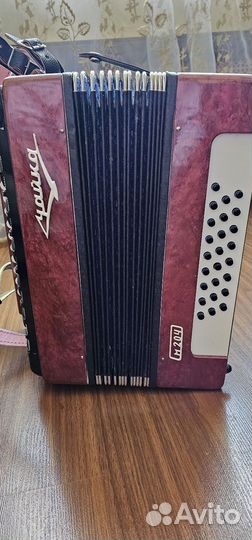 Гармонь чайка2 Уже купили