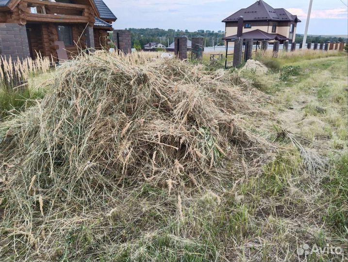 Сено солома