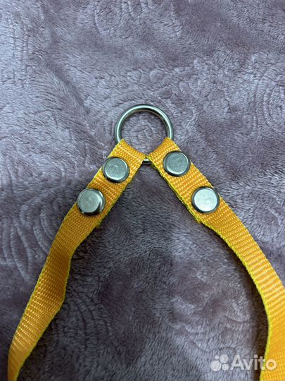 Поводок-сворка двойной для собак