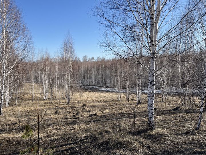 Участок 13,61 га (СНТ, ДНП)