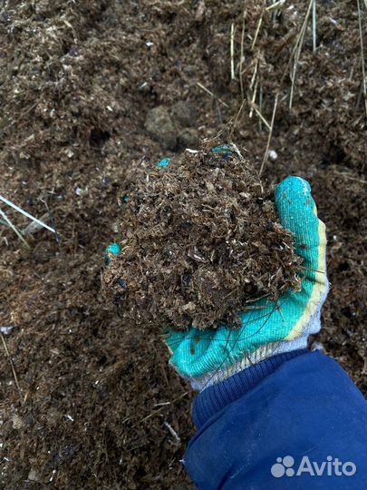 Навоз бесплатно