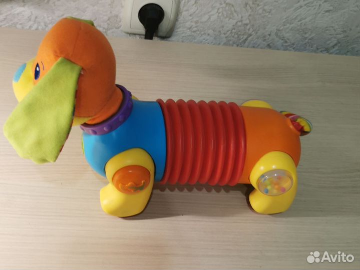 Tiny love собака