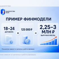 Доходная франшиза с выручкой 2-3млн. в месяц, Чернушка