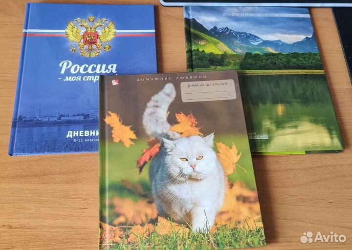 Дневник школьный