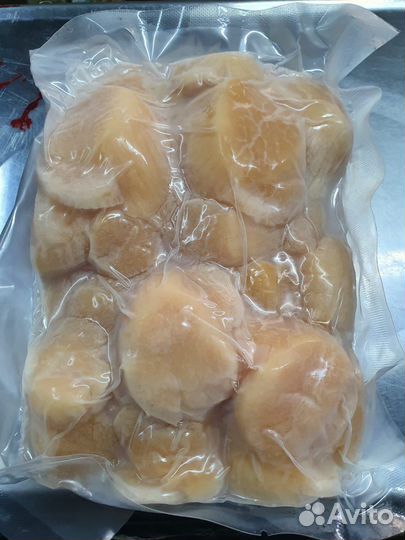 Гребешок Приморский опт/розница