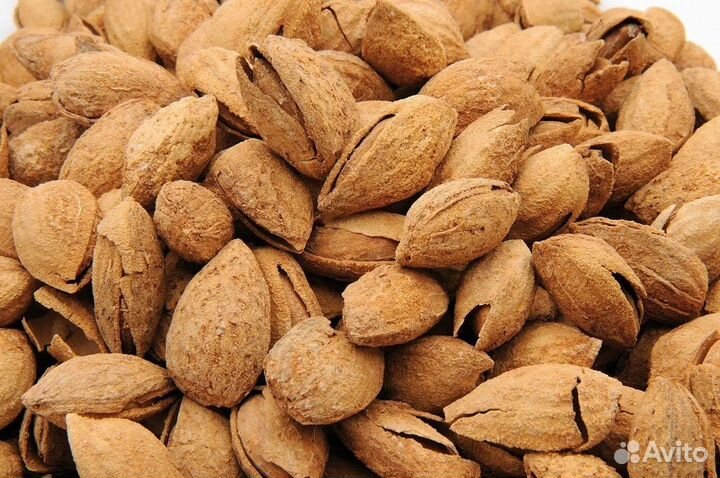 Миндаль бумажноскорлупный