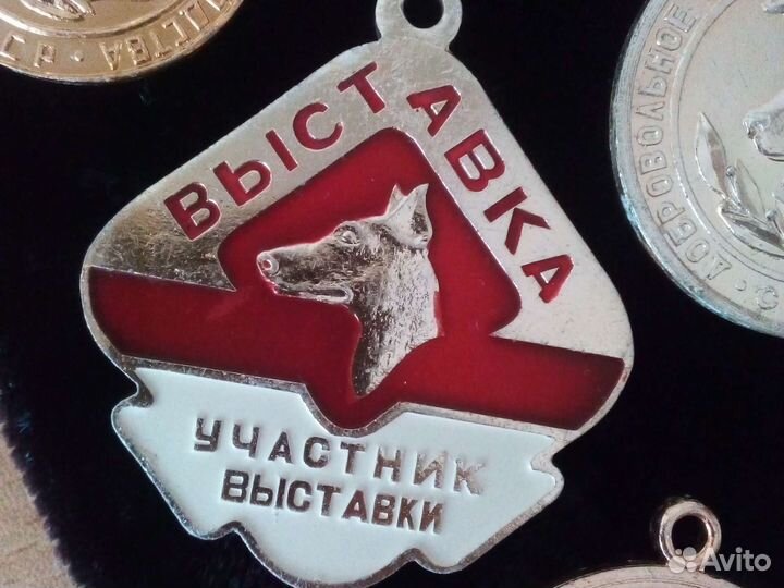 Выставочные медали