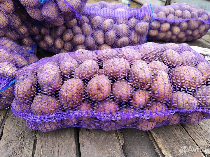 Продам картофель со своего огорода