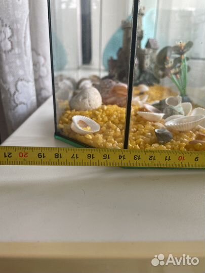 Аквариум