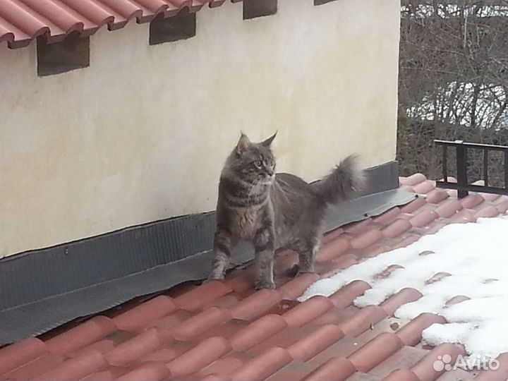 Экочерепица полимерпесчаная на основе кварцита