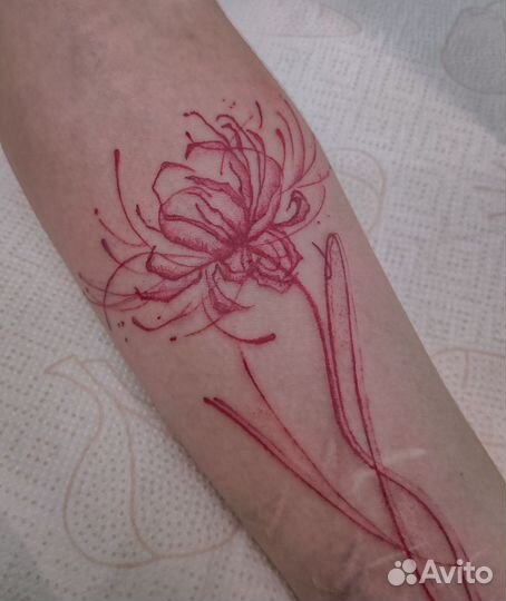 Модель для тату