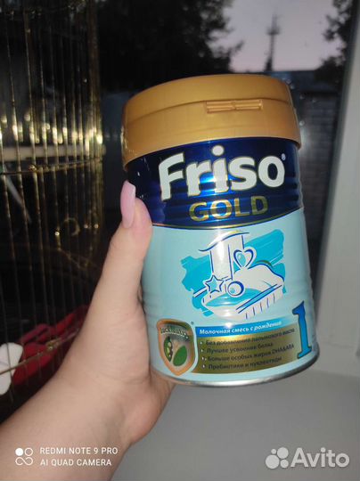 Смесь Friso gold 1