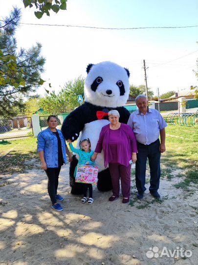 Аниматор, белый медведь, панда, ушастик и другие