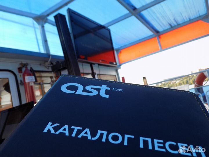 Выездное караоке. Аренда. прокат. доставка