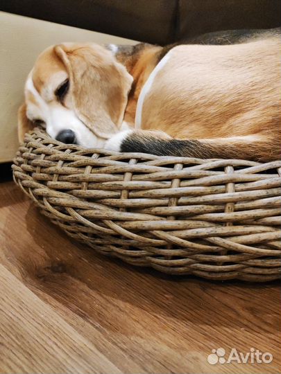 Лежанка для собак и кошек из ротанга