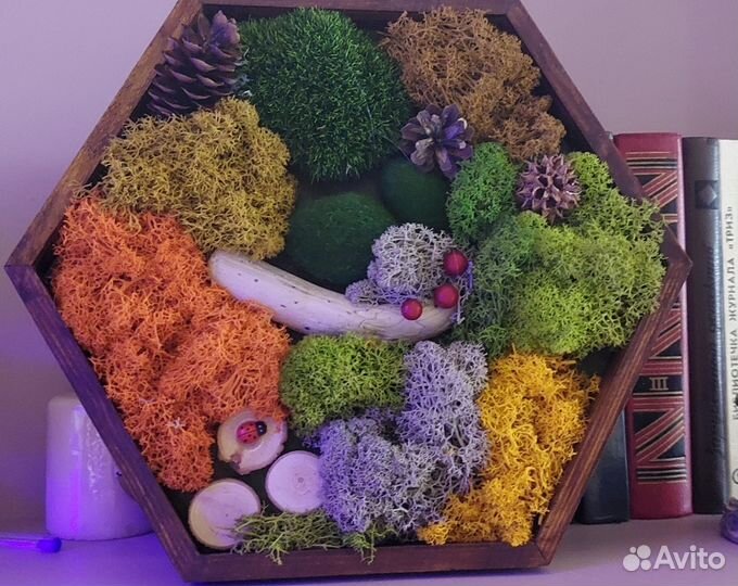 Картины