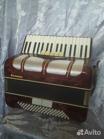 Аккордеон Квинта