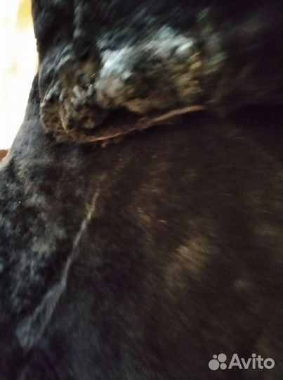 Шуба натуральная овчина мужская под ремонт