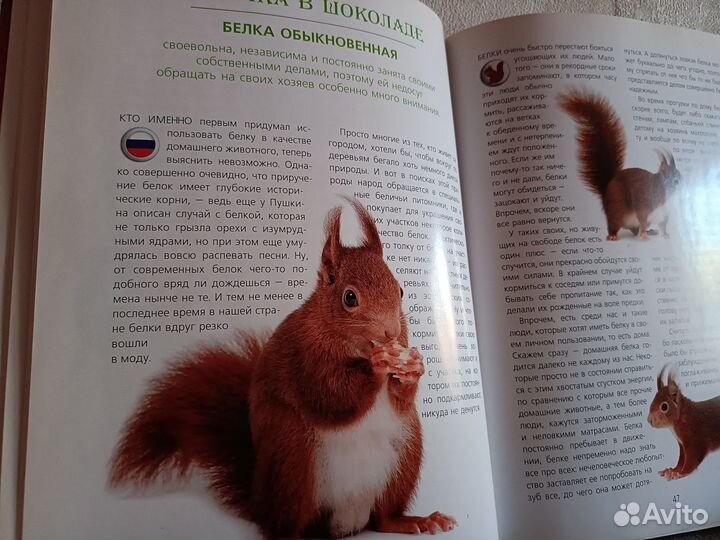 Волкова Неведомы зверюшки