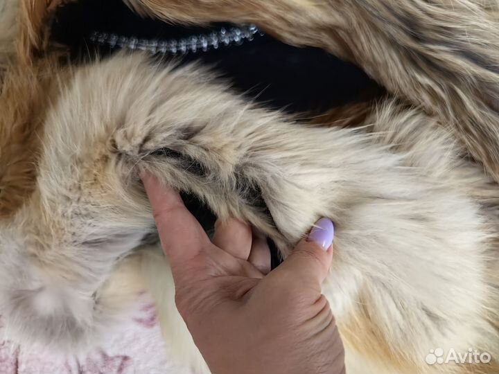 Жилет из лисы