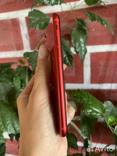 iPhone 8, 256 ГБ