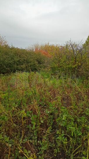 Участок 9 сот. (СНТ, ДНП)