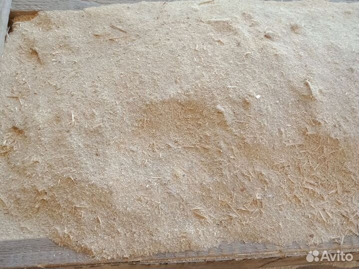 Стружка сосна