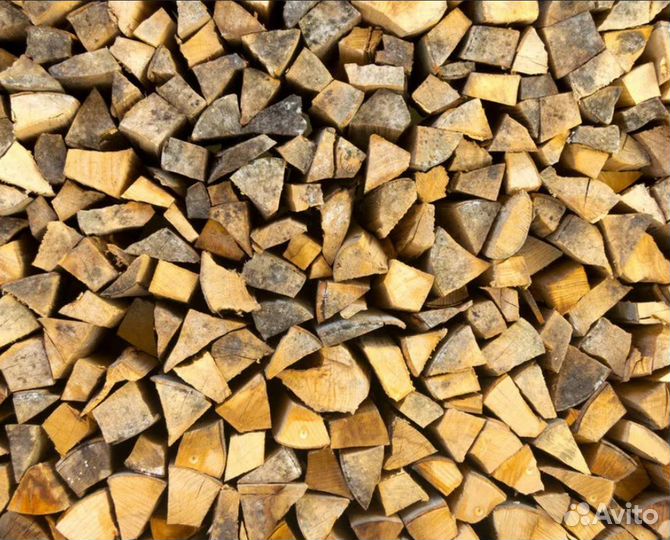Дрова осина