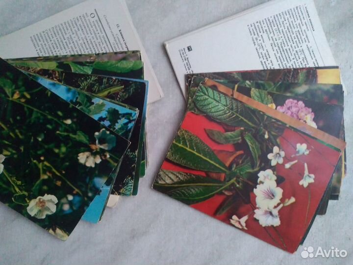 Книга, наборы открыток СССР