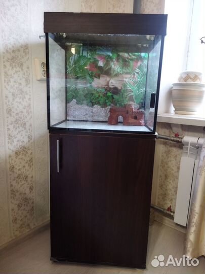 Аквариум для рыб