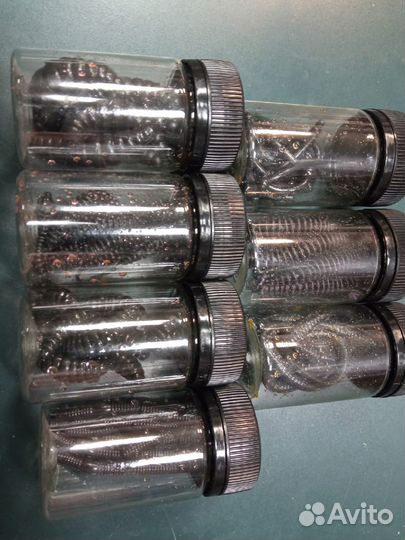 Черная резина на форель (ручная работа)