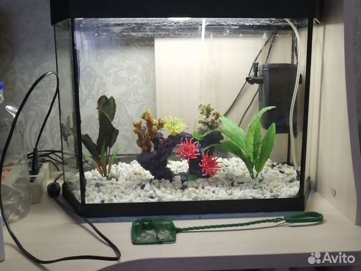Аквариум